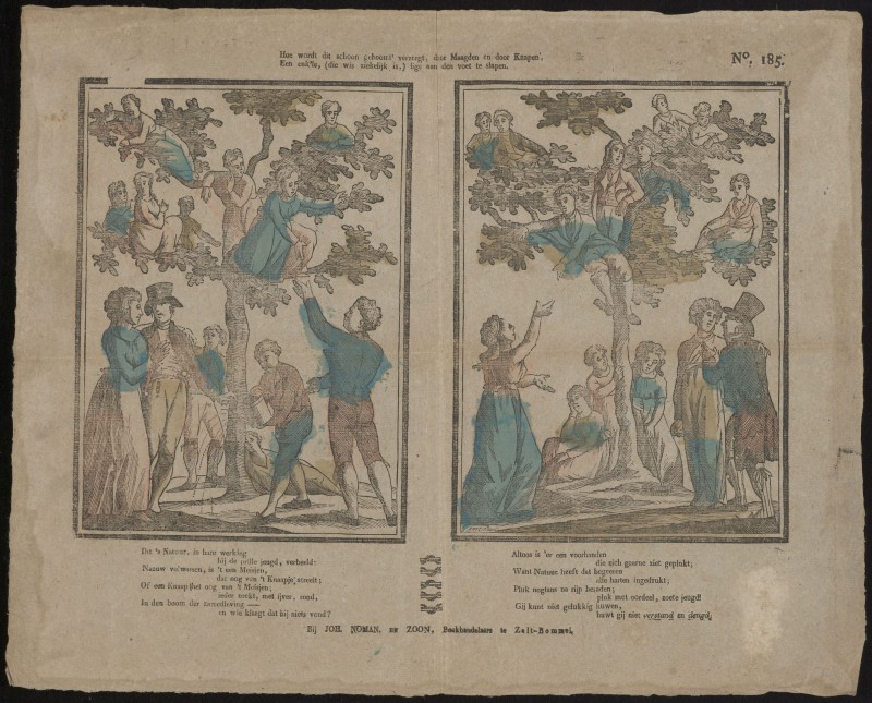 Hoe wordt dit schoon geboomt' verzorgt (Nº 185)